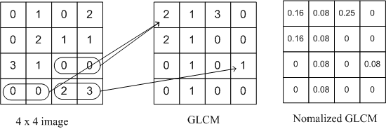 Gray Level Co-occurrence Matrix