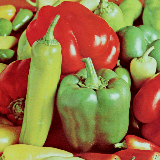 card-cover-image